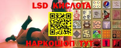 бошки Гусев