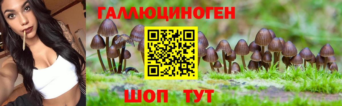 Мытищи  Псилоцибиновые грибы прущие грибы  Вход с VPN 
